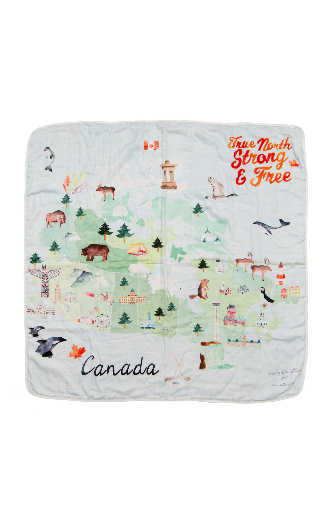 Quilt Muslin