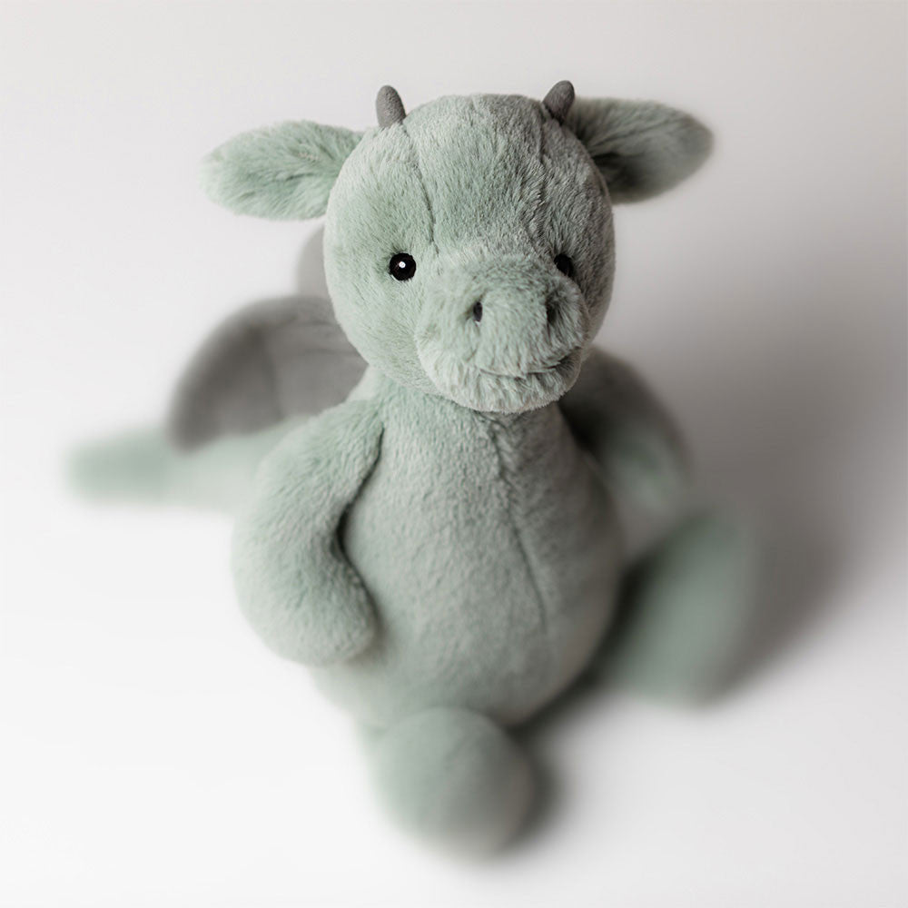 Little Bashful dragon