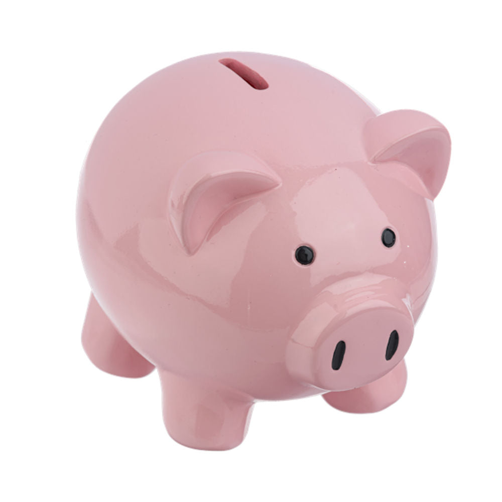 6In Piggy Bank