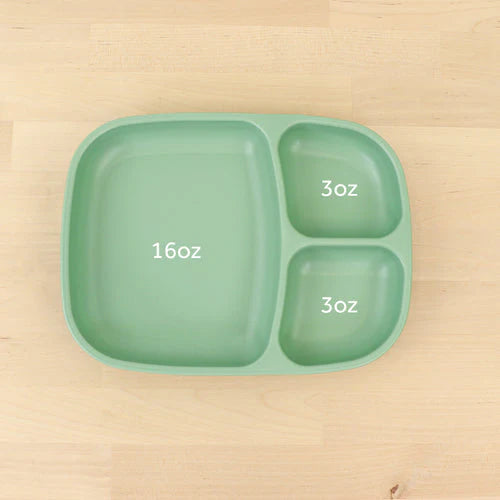 Plate Divided Large