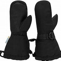 Black Toasty Dry Waterproof Snow Mittens