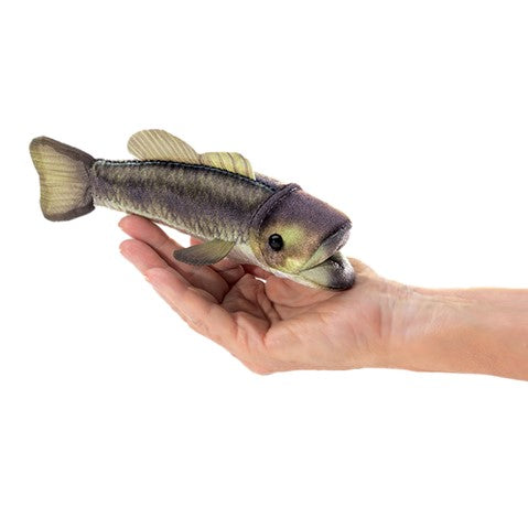 Large Mouth Bass