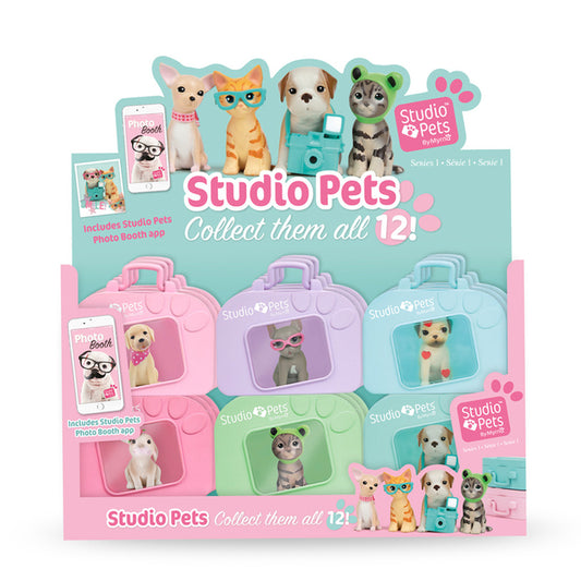 Studio pets