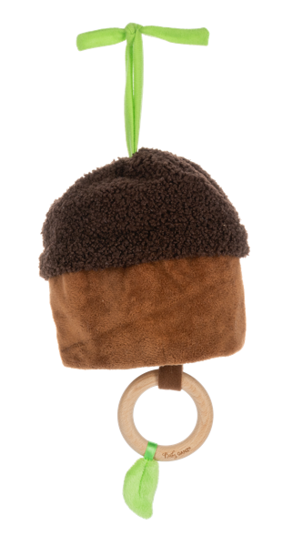 Squirrel Musical Pull down Toy